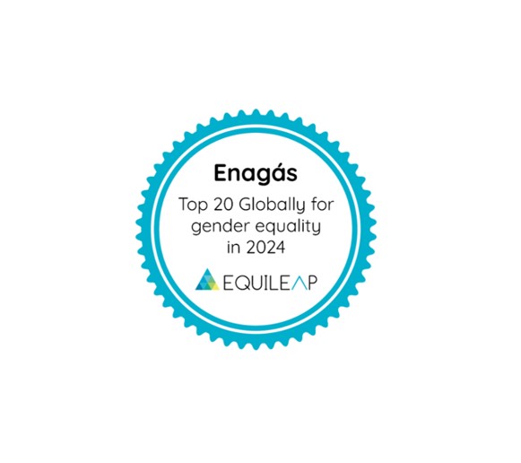 Global Top 20 logo for gender equality in 2024